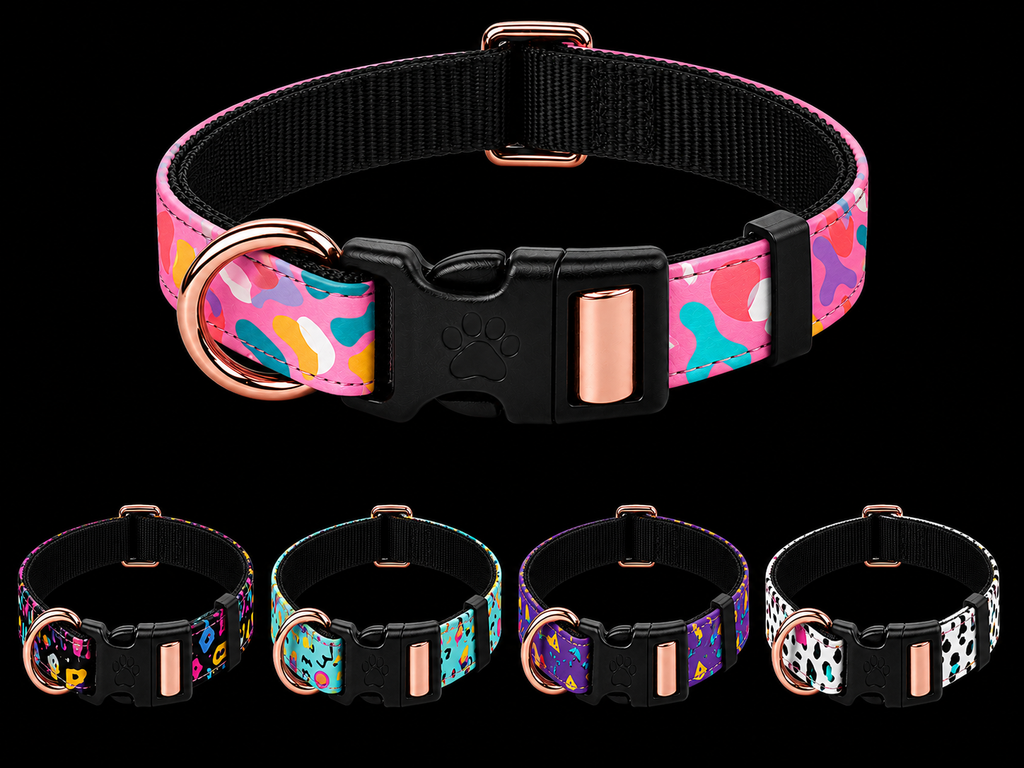 Collier pour chien et chat personnalisé