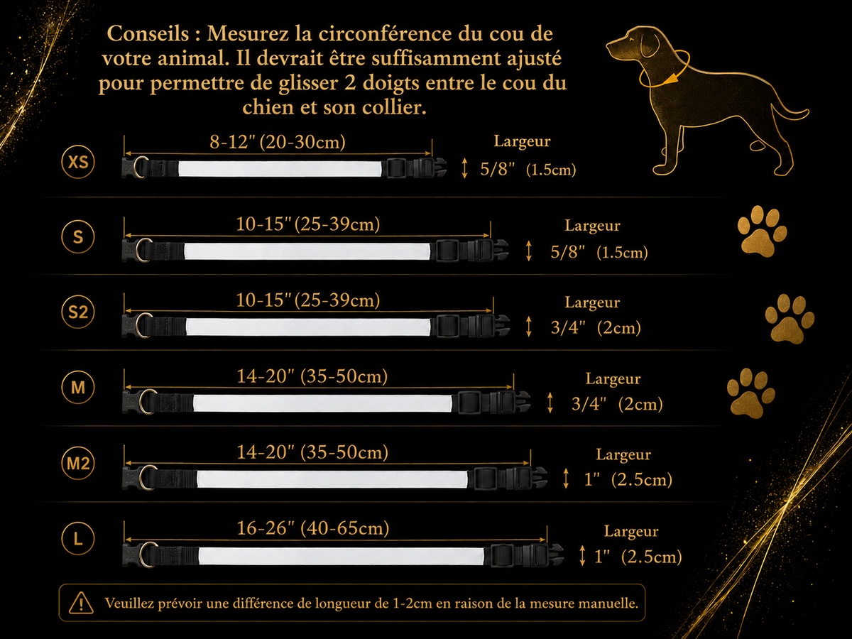 Collier pour chien et chat personnalisé