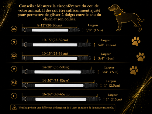 Collier pour chien et chat personnalisé